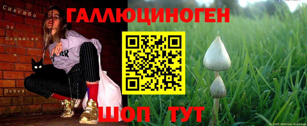 Гусиноозёрск  Галлюциногенные грибы мицелий  Вход с VPN 