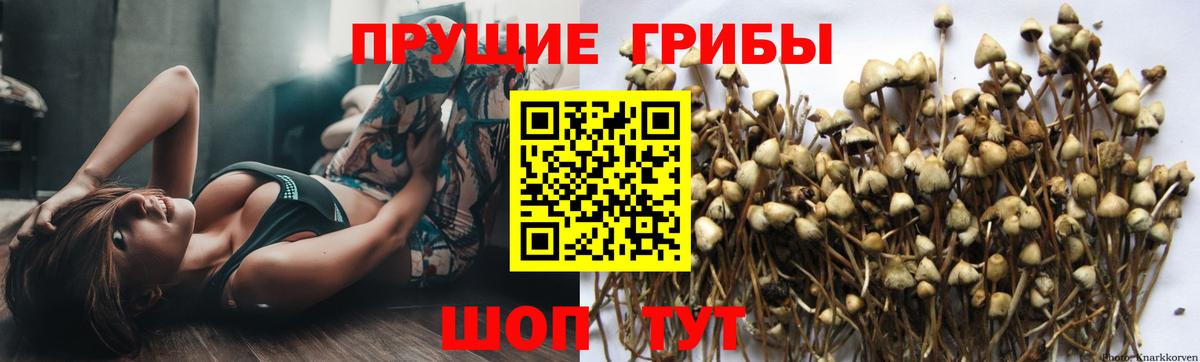 ГАШ  МЕТ  Гусиноозёрск  Меф МЯУ МЯУ  Вход с VPN  Alpha-PVP СК   Меф МЯУ МЯУ   Гашиш  Каннабис  НБОМе 
